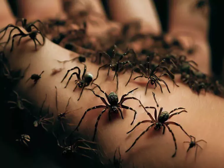 65 Scary Facts