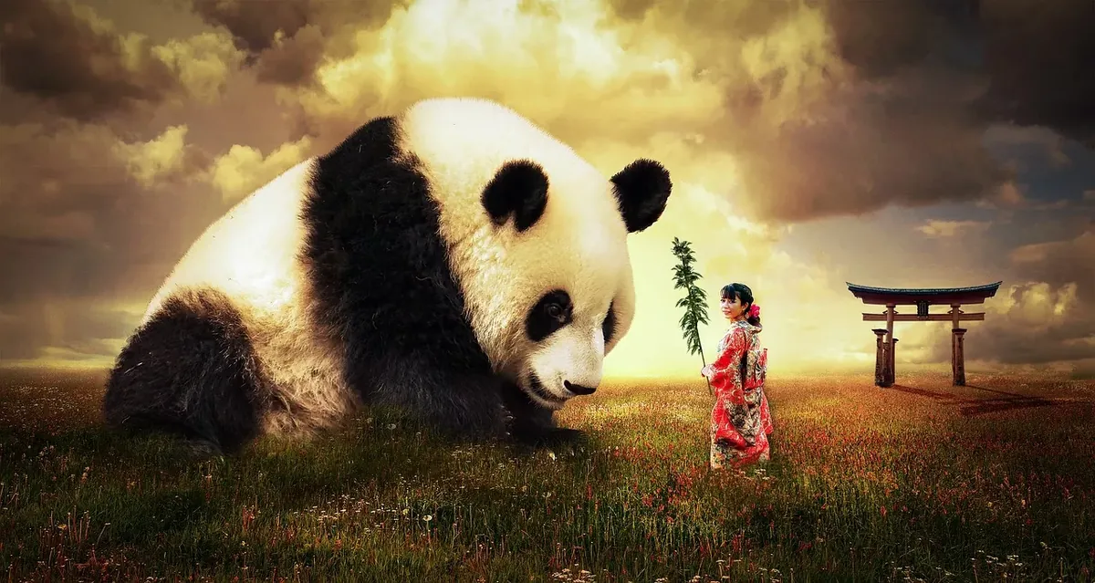 Facts About Giant Pandas