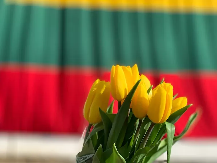 Facts About Lithuania