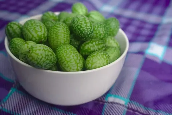 Cucamelons or Mexican Sour Gherkins