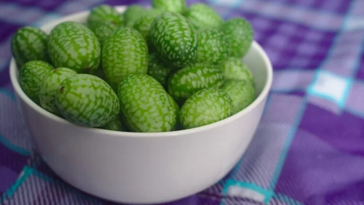 Cucamelons Or Mexican Sour Gherkins