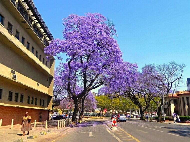 Pretoria Street, South Africa