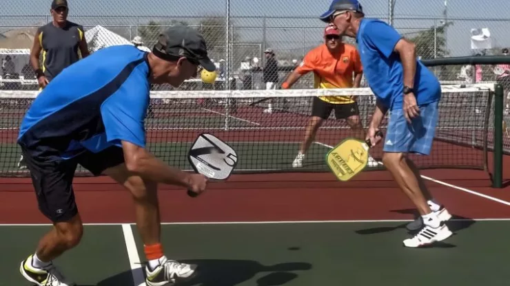 Fun Facts About Pickleball
