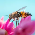 Facts About Bees