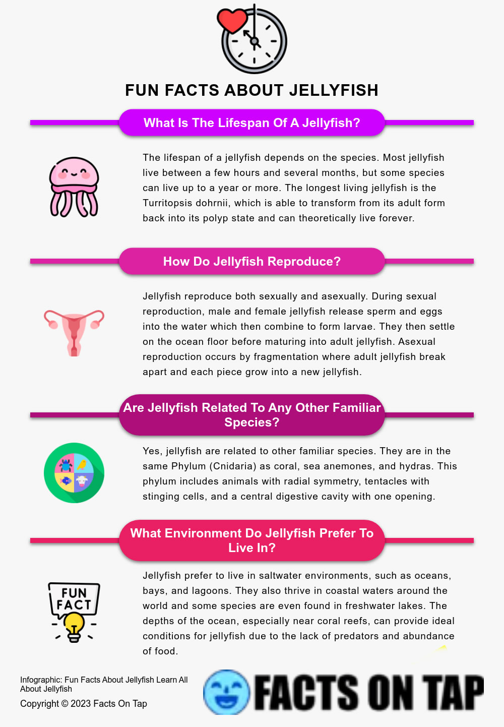 Jellyfish Facts Infographic