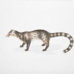 Facts About Civets | Chernobyl